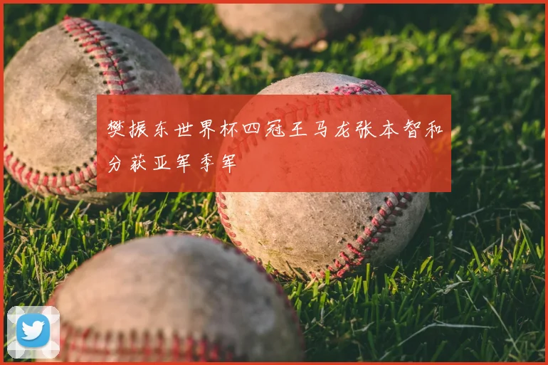 樊振东世界杯四冠王马龙张本智和分获亚军季军