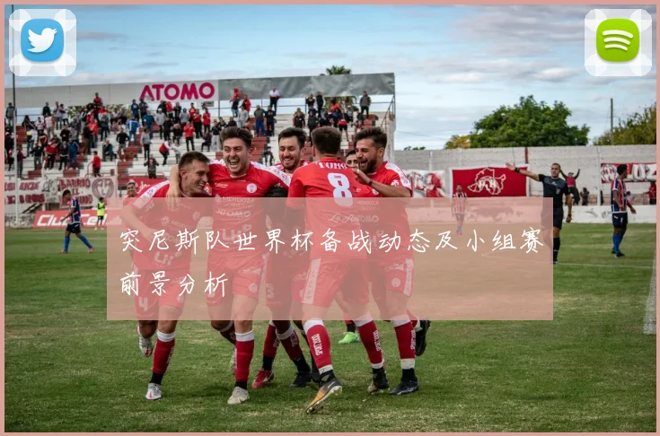 突尼斯队世界杯备战动态及小组赛前景分析