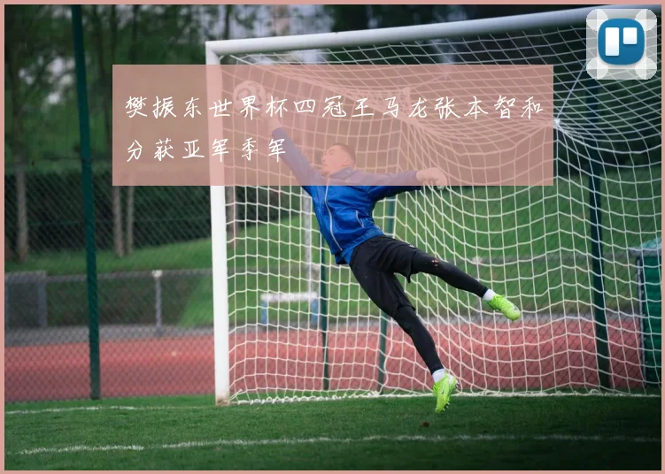 樊振东世界杯四冠王马龙张本智和分获亚军季军