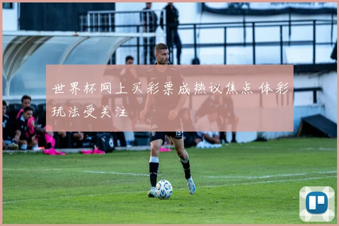 世界杯网上买彩票成热议焦点 体彩玩法受关注