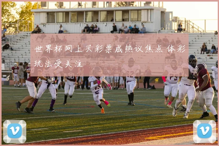 世界杯网上买彩票成热议焦点 体彩玩法受关注