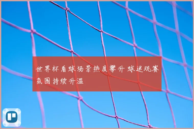 世界杯看球场景热度攀升 球迷观赛氛围持续升温